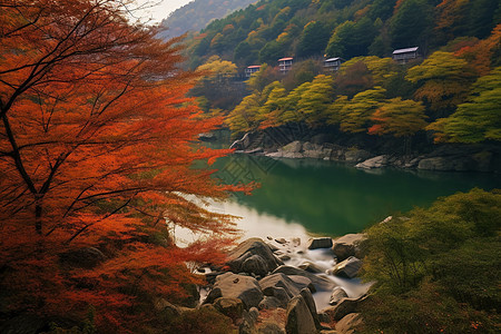 美丽的秋天风景图片