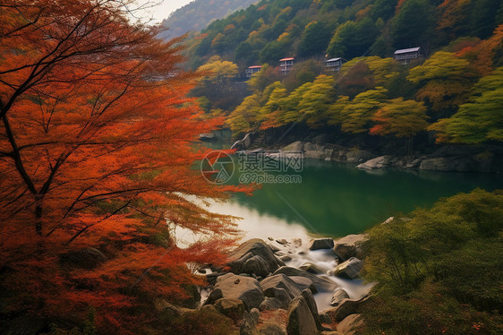 美丽的秋天风景图片