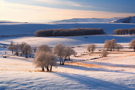雪后故宫雪后的美丽的草原背景