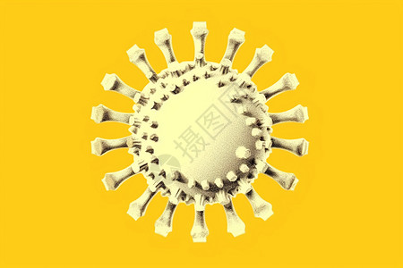 冠状病毒结构图片