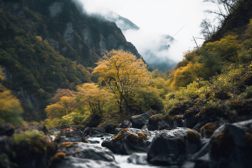 户外风景图片