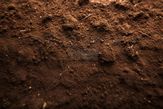 地里的棕壤图片