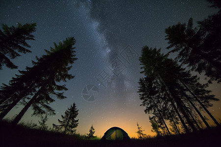 在树林里露营看星星图片
