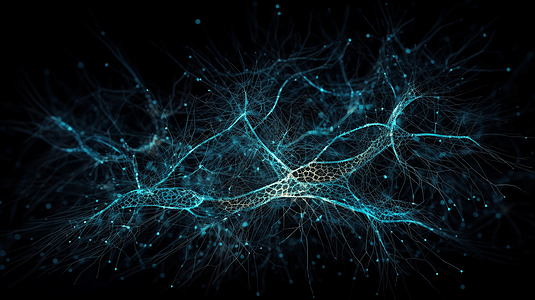 人类的大脑神经元图片