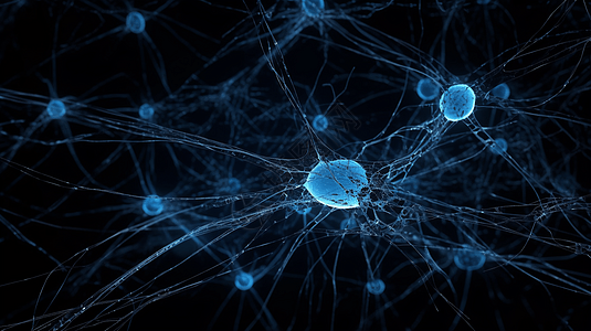 大脑中神经元图片
