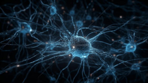大脑的神经网络图片