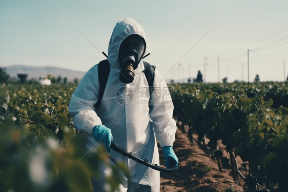 农业工人使用杀虫剂涂抹器喷洒植物图片
