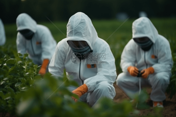 在尝试新的害虫控制方法的研究人员图片