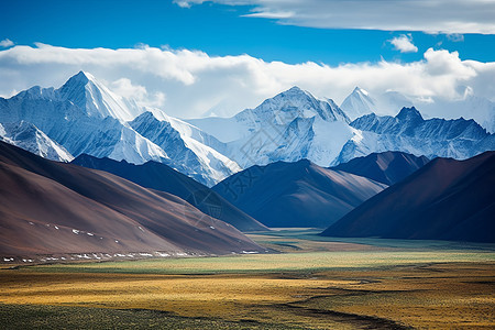 壮丽的雪山和草原背景图片