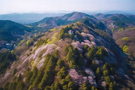 山野上的樱花背景图片