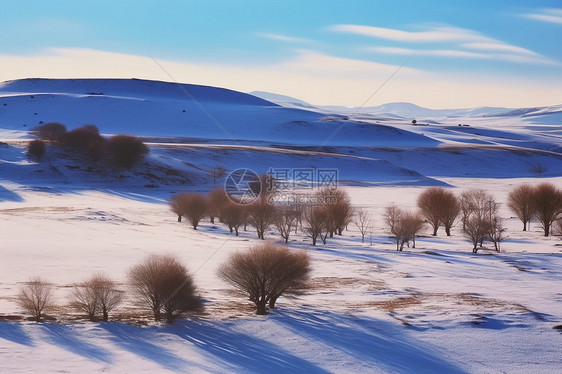 冬天草原雪地树木风景图片