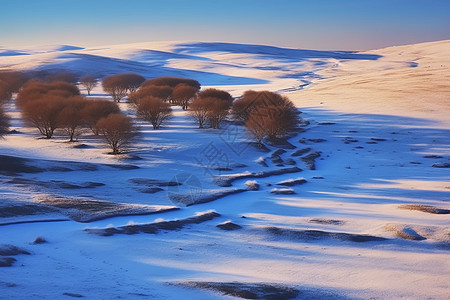 冬天草原雪地风景背景图片