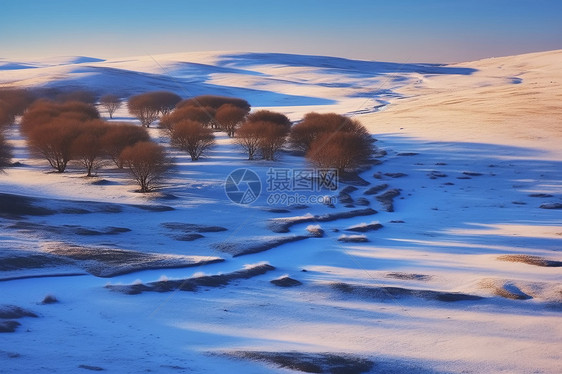 冬天草原雪地风景图片