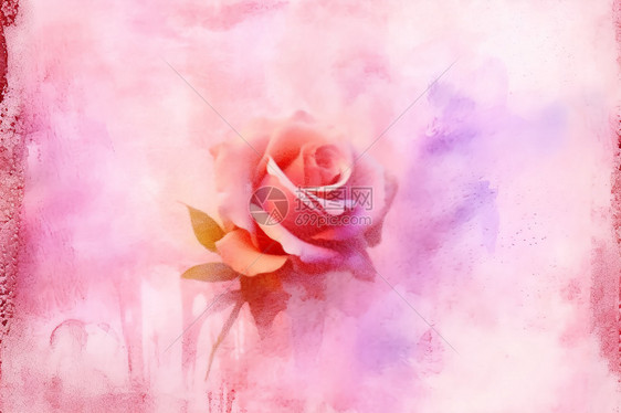 粉色水彩渲染背景和玫瑰图片