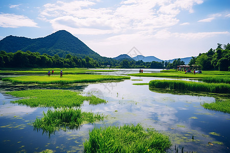 腾冲北海湿地图片