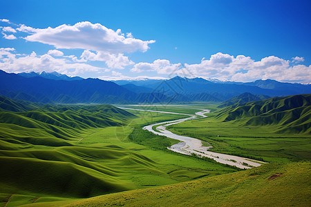 美丽的大草原美丽的绿色大草原背景