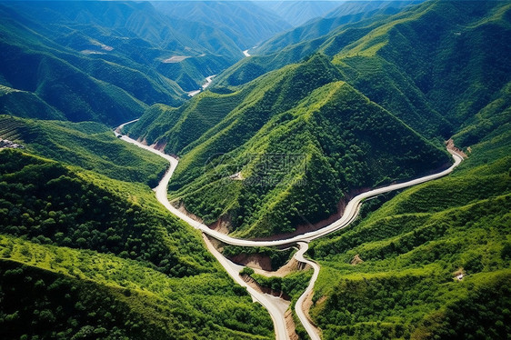 风景如画的山坡道路图片