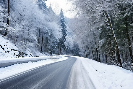 白色雪花覆盖整条道路图片