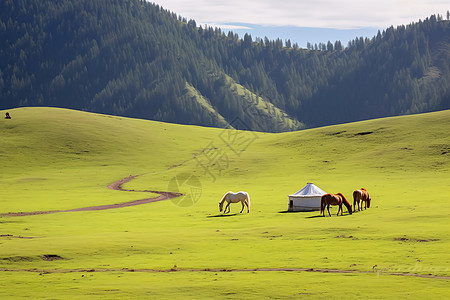 草原上的蒙古包和两只马图片