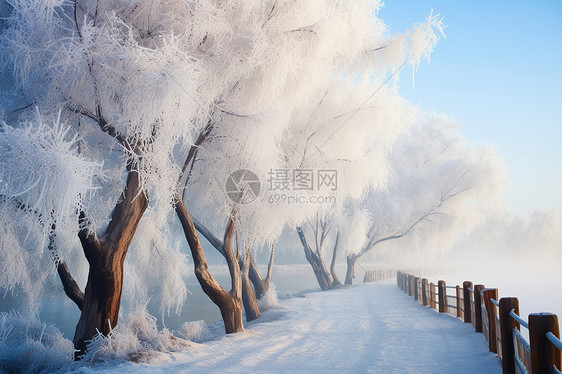 白雪皑皑的雾凇景观图片