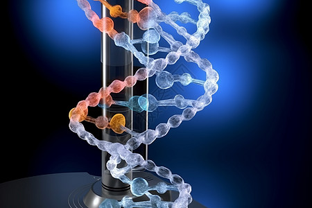 立体DNA图片