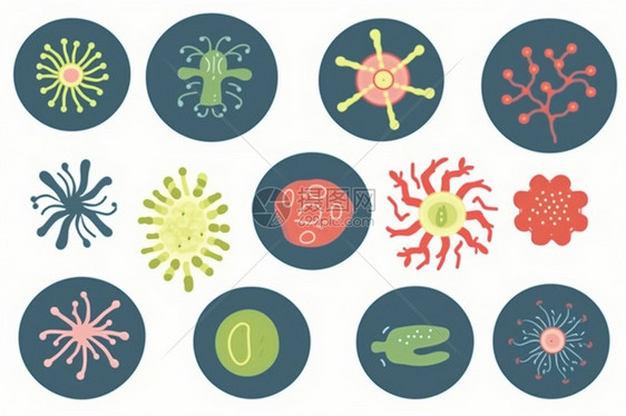 微观生物细菌图片