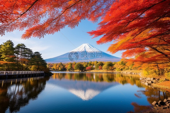 秋天湖景图片