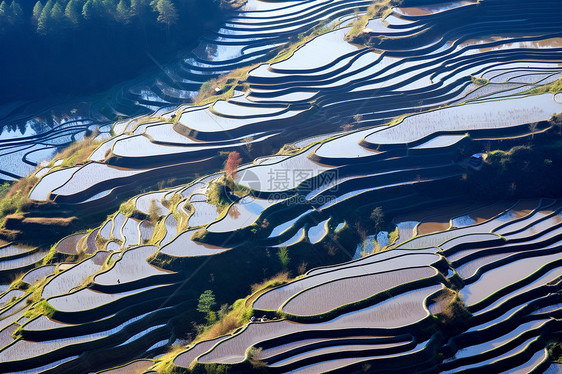 农村的种植梯田图片