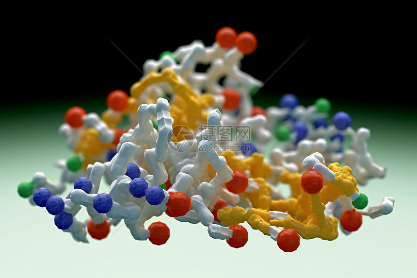 蛋白质模型图片