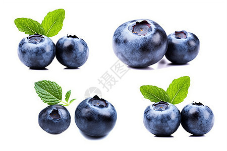 一只只蓝莓图片