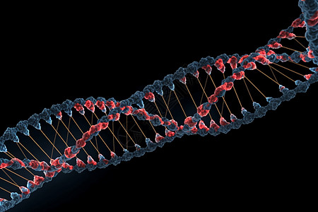 螺旋形dna链的3D概念图图片