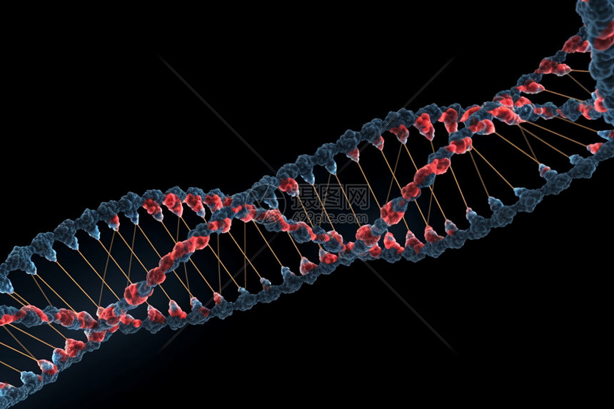 螺旋形dna链的3D概念图图片