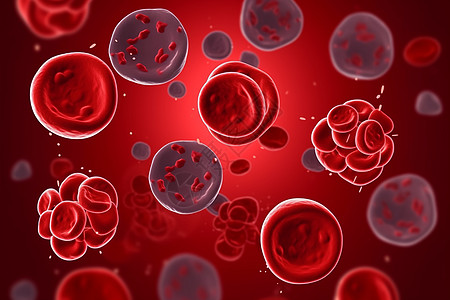 生物体内血细胞图片