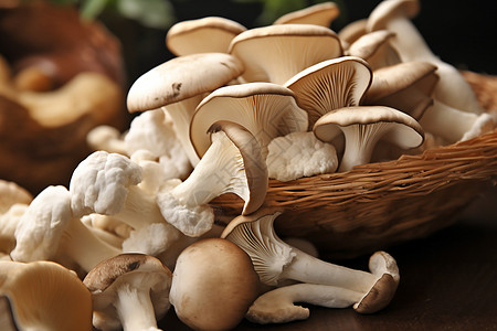 健康的蘑菇背景图片