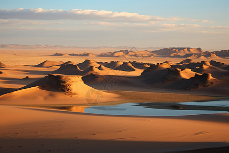 沙漠中的水源图片