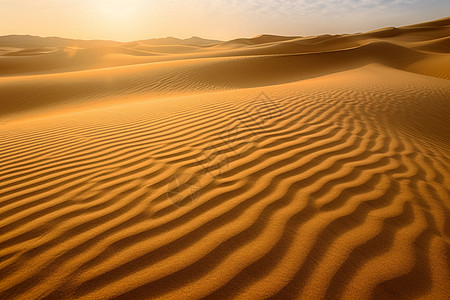 黄昏落日下的沙漠图片