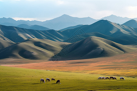 山脉草原羊群图片