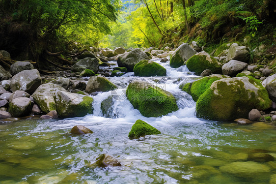 在岩石旁经过的溪流图片