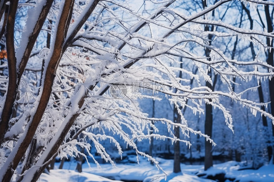 唯美的雾凇雪景图片