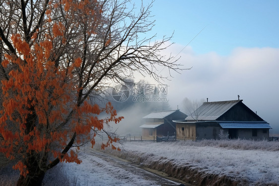 冬季梅花雪景图片