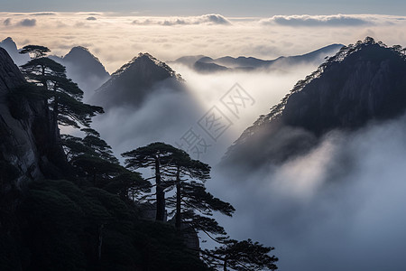 云海自然美景图片