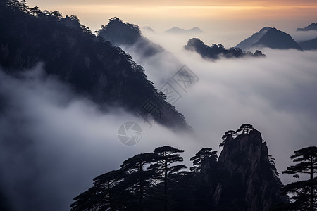 云海山脉旅游松树自然美景图片