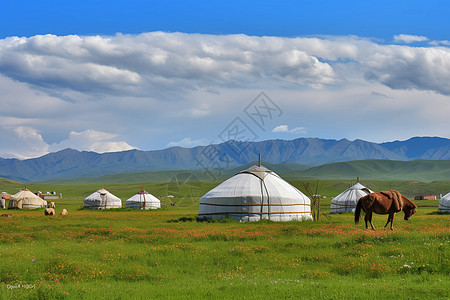 蓝天下的草地蓝天下草原上的蒙古包和骏马背景