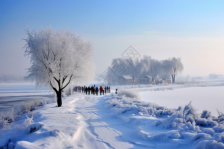 冬天下雪风景图片