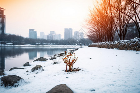 城市户外自然景色图片