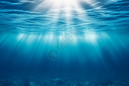 海洋世界阳光照射的海洋设计图片