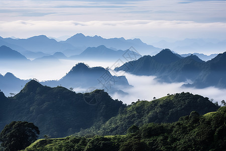 高峰的自然风景图片