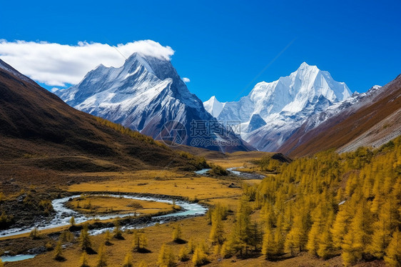 雪山下的河流森林景观图片