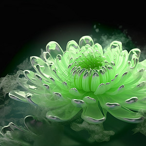 绿色的水晶荧光菊花图片