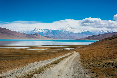 公路旁的湖泊图片